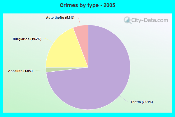 Crimes by type - 2005