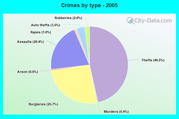 Crimes by type - 2005