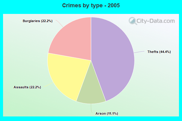 Crimes by type - 2005