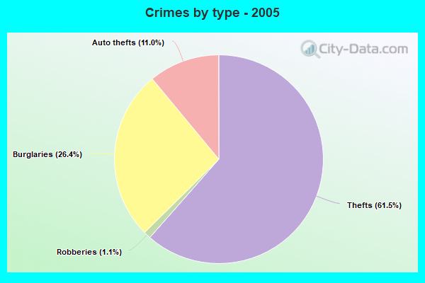 Crimes by type - 2005