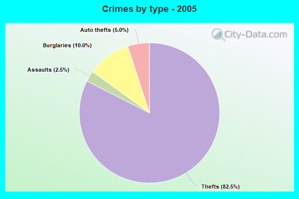 Crimes by type - 2005