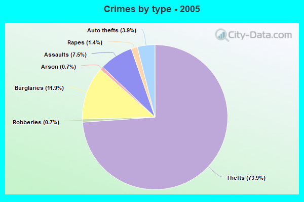 Crimes by type - 2005