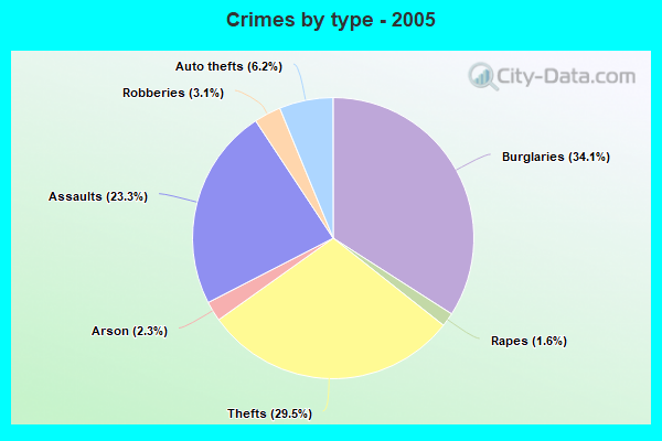 Crimes by type - 2005