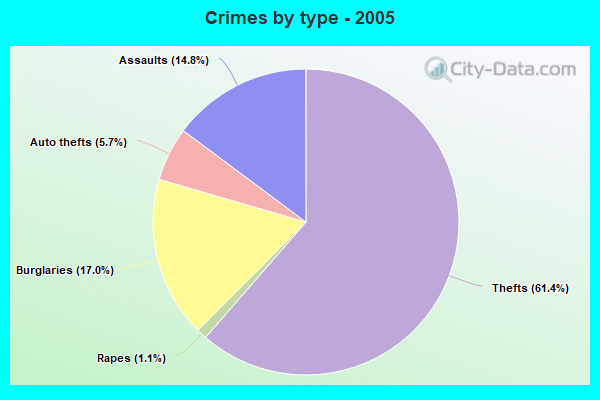 Crimes by type - 2005