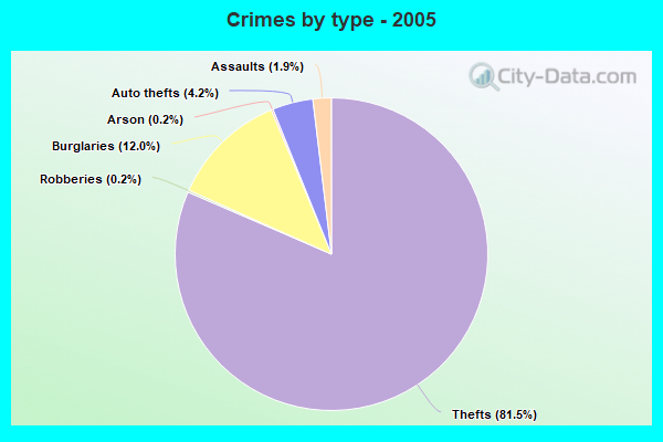 Crimes by type - 2005