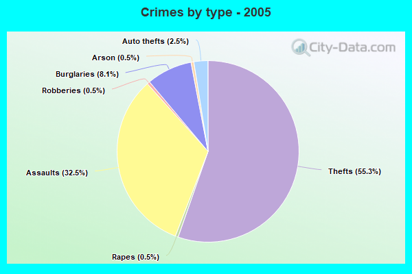 Crimes by type - 2005