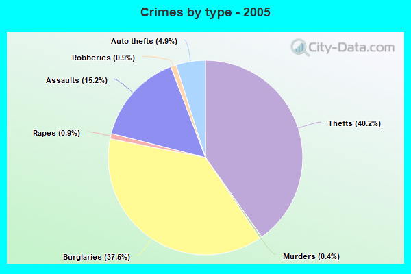 Crimes by type - 2005