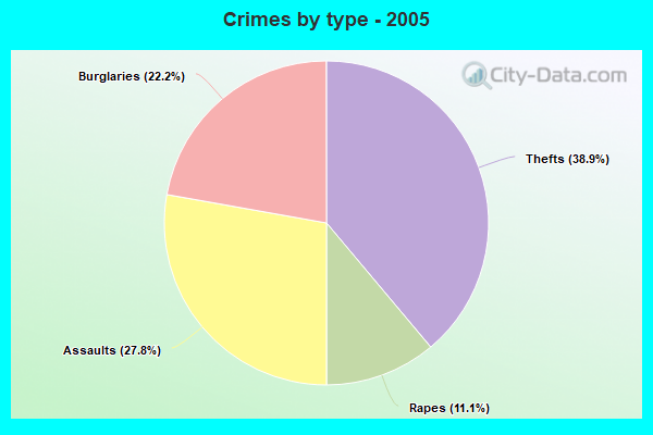 Crimes by type - 2005