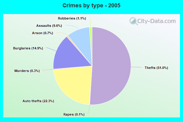 Crimes by type - 2005