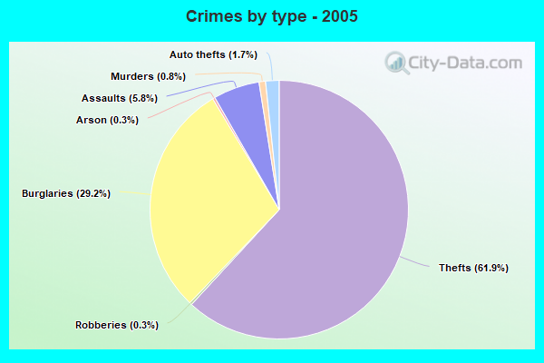 Crimes by type - 2005