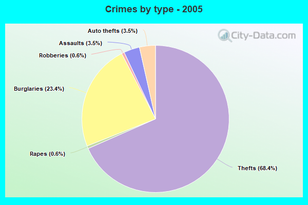 Crimes by type - 2005