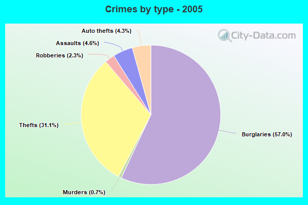 Crimes by type - 2005