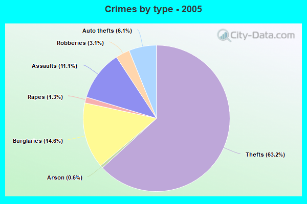 Crimes by type - 2005