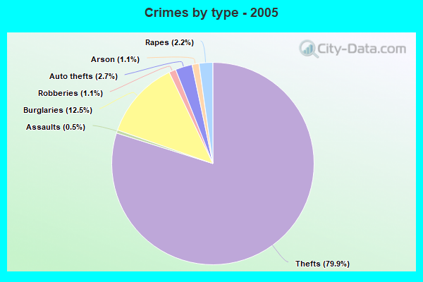 Crimes by type - 2005