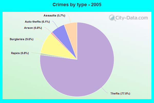 Crimes by type - 2005