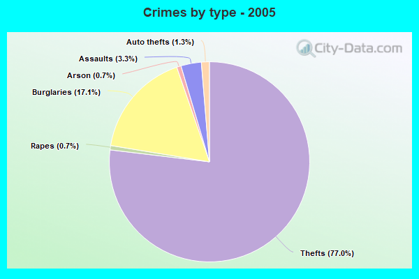 Crimes by type - 2005