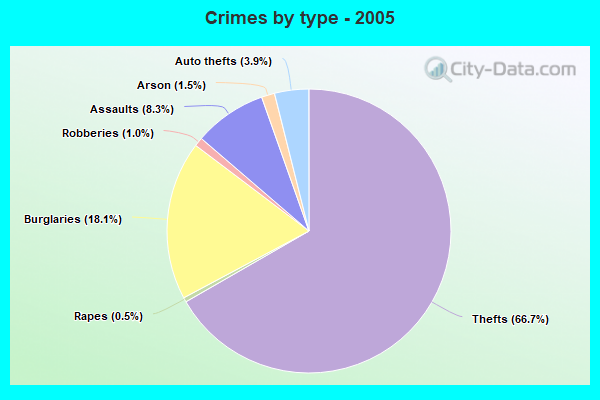 Crimes by type - 2005