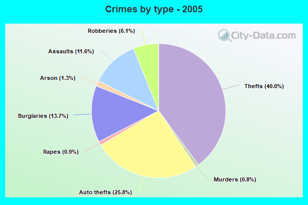 Crimes by type - 2005