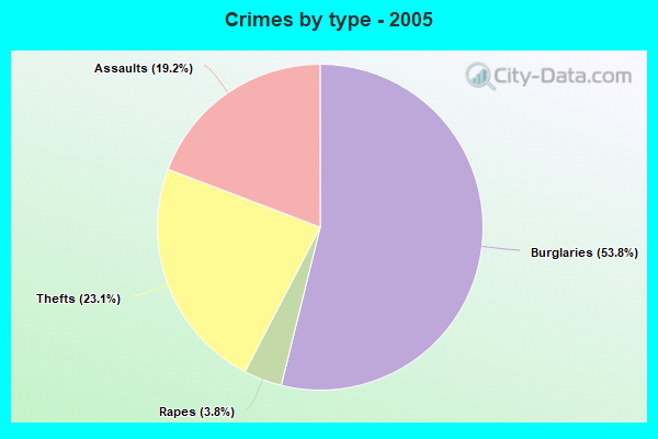 Crimes by type - 2005