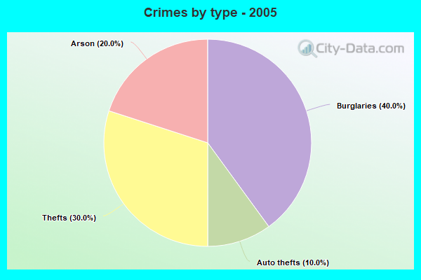 Crimes by type - 2005