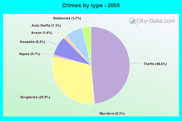 Crimes by type - 2005