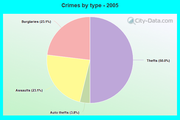 Crimes by type - 2005