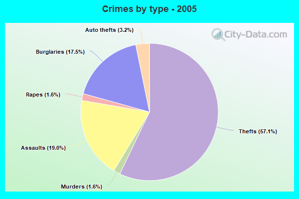 Crimes by type - 2005