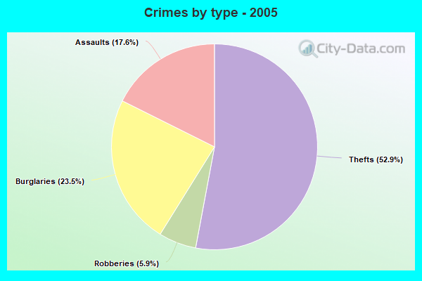 Crimes by type - 2005