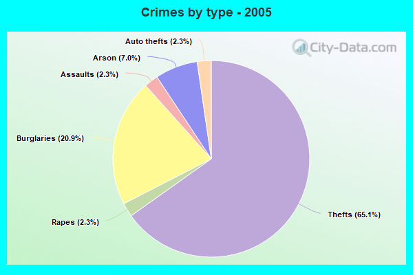 Crimes by type - 2005