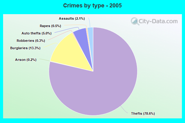 Crimes by type - 2005