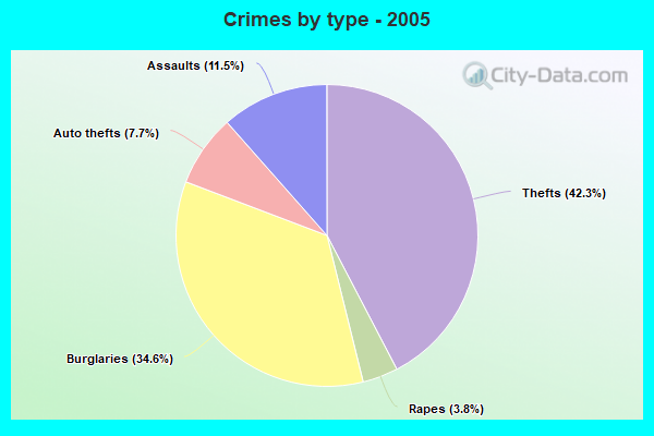 Crimes by type - 2005