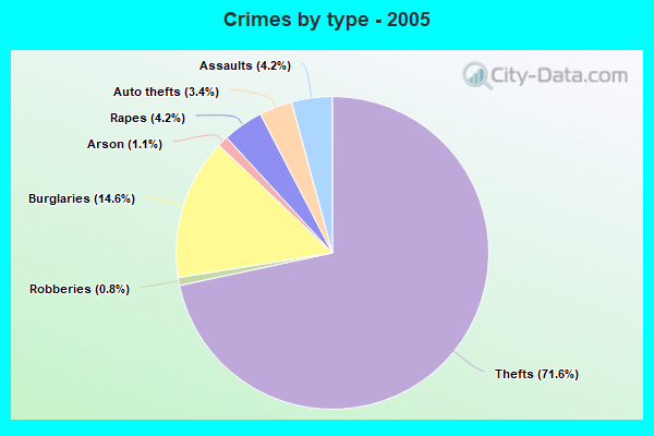 Crimes by type - 2005