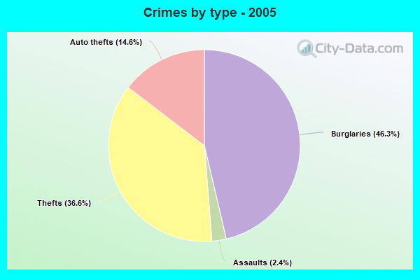 Crimes by type - 2005