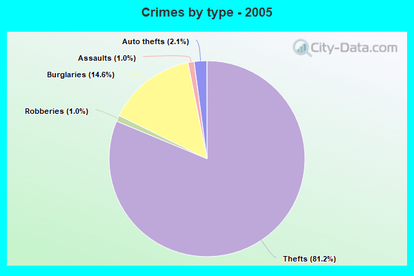 Crimes by type - 2005