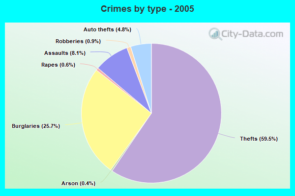 Crimes by type - 2005