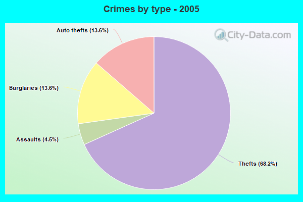 Crimes by type - 2005