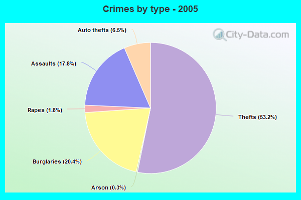 Crimes by type - 2005