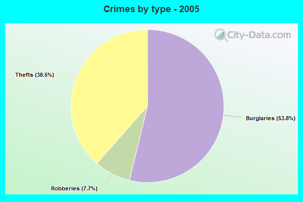 Crimes by type - 2005