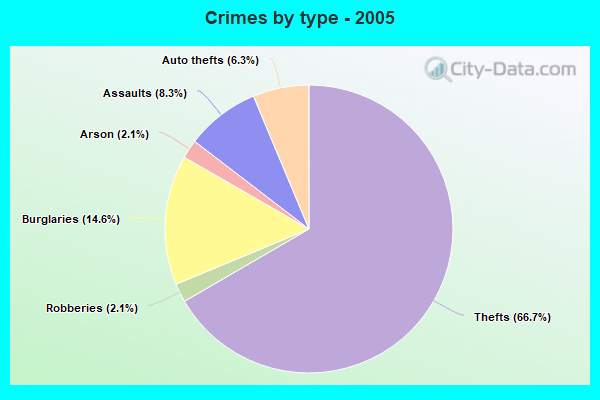 Crimes by type - 2005