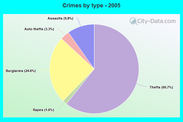 Crimes by type - 2005