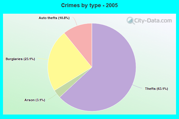 Crimes by type - 2005