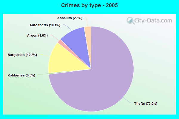 Crimes by type - 2005