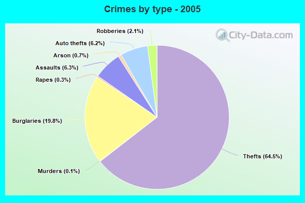 Crimes by type - 2005