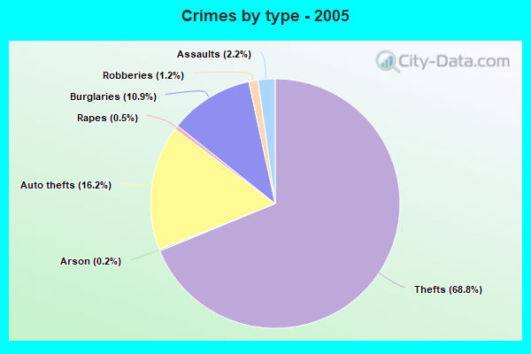 Crimes by type - 2005