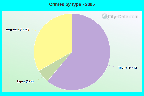 Crimes by type - 2005