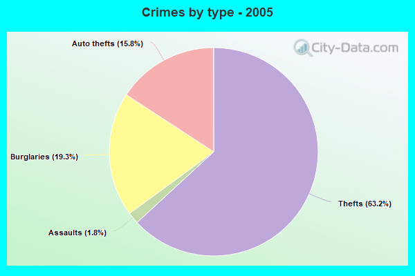 Crimes by type - 2005