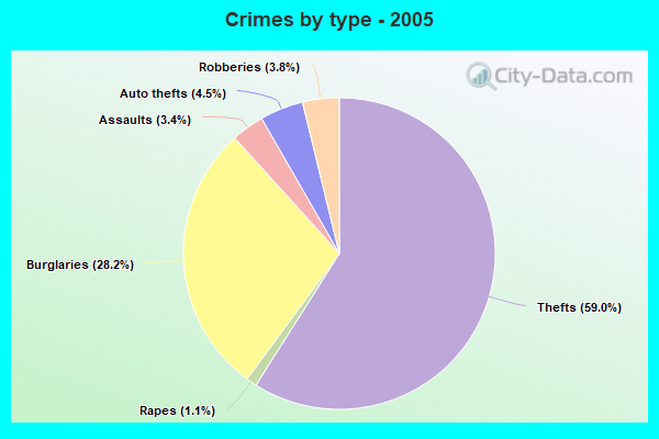 Crimes by type - 2005