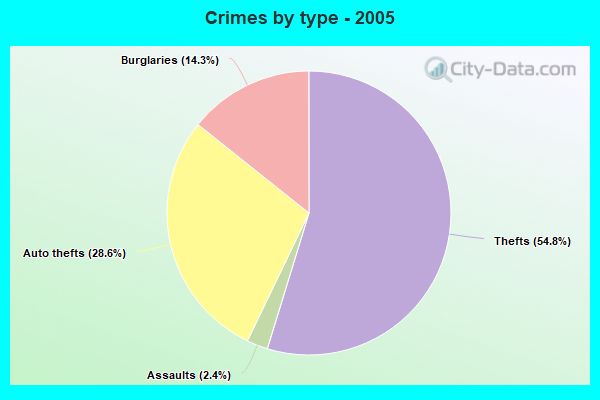 Crimes by type - 2005