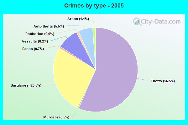 Crimes by type - 2005