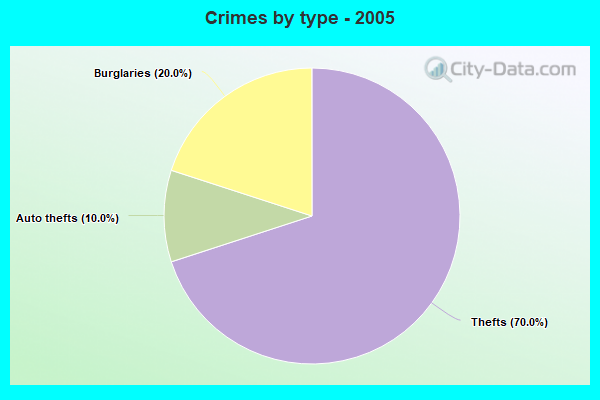 Crimes by type - 2005